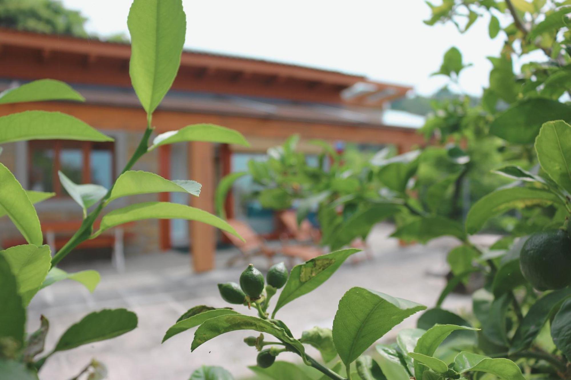 Piran Beach House - Private Oasis - Beachfront Apartment With A Sea View Terrace エクステリア 写真